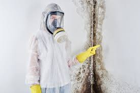 Best Environmental Consulting for Mold Prevention in Rusk, TX